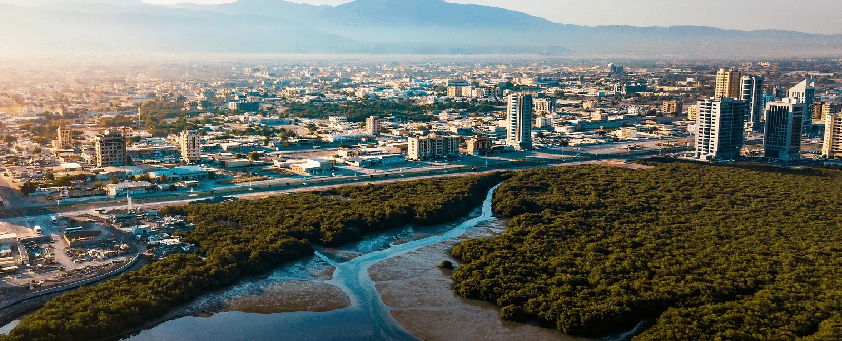 UAE Offshore Company