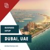 Business Setup in UAE - Danburite Corporate