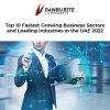 Top 10 Fastest Growing Business Sectors and Leading Industries in the UAE 2022