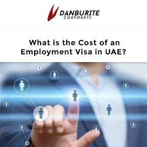 What is the Cost of an Employment Visa in UAE?