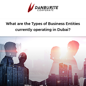 What are the Types of Business Entities currently operating in Dubai?