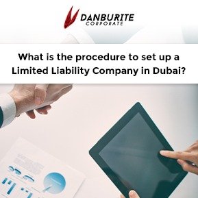 What is the procedure to set up a Limited Liability Company in Dubai?