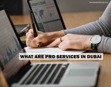 What Are PRO Services In Dubai